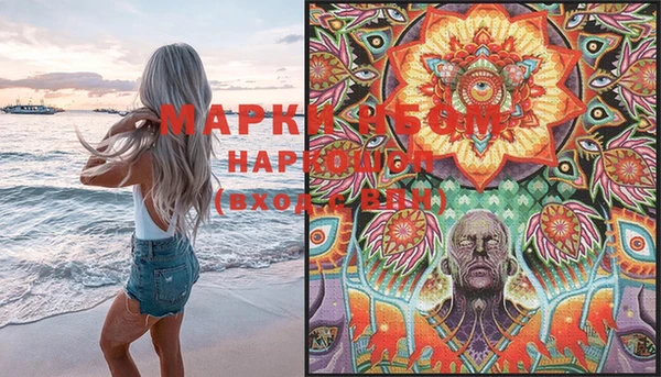 ECSTASY Горняк