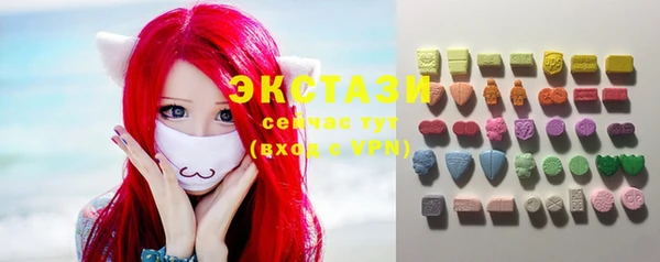 ECSTASY Горняк
