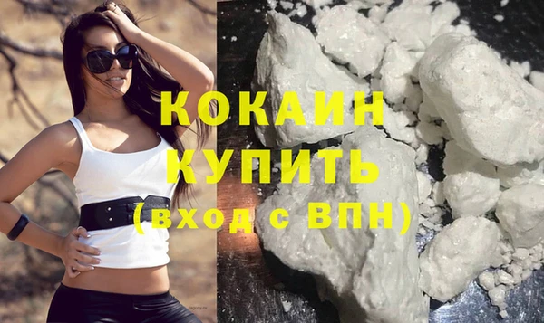 ECSTASY Горняк