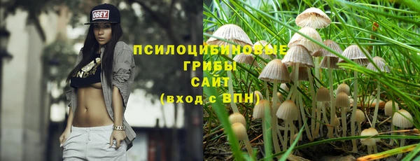 спайс Горнозаводск