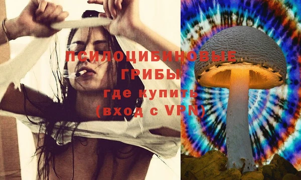 спайс Горнозаводск