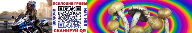 Купить где  Оханск  Псилоцибиновые грибы Psilocybine cubensis 